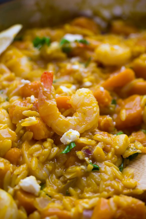 One-Pot-Shrimp-and-Squash-Orzo-bright